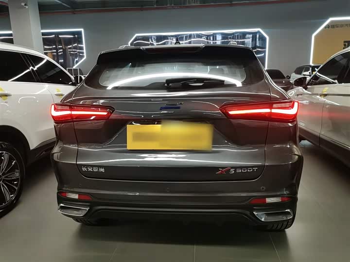 Фото 6 - Changan Oshan X5