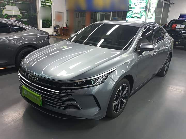 Фото 2 - BYD Destroyer 05