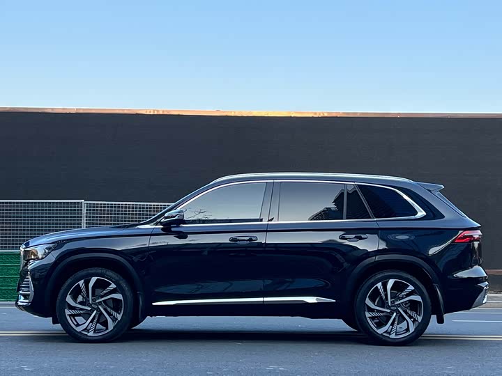 Фото 3 - Geely Monjaro