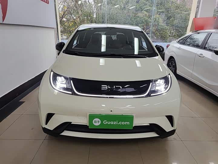 Фото 3 - BYD Dolphin