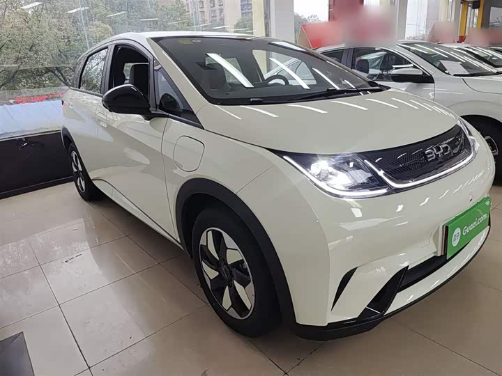 Фото 4 - BYD Dolphin