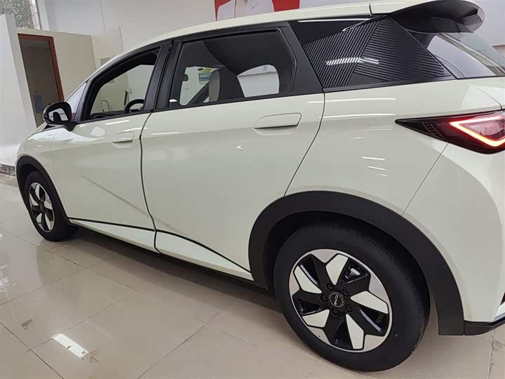 Фото 5 - BYD Dolphin