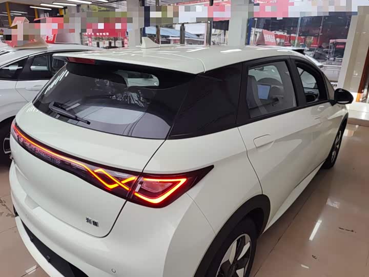 Фото 7 - BYD Dolphin