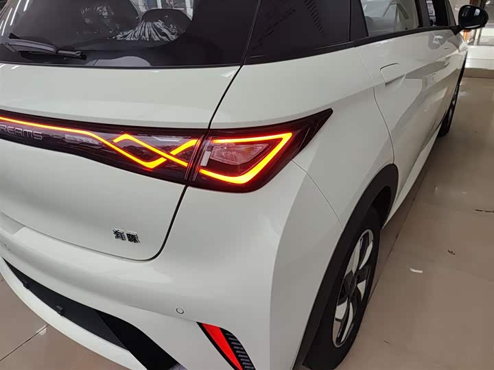 Фото 8 - BYD Dolphin