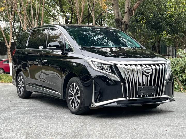 Фото 2 - GAC Trumpchi M8