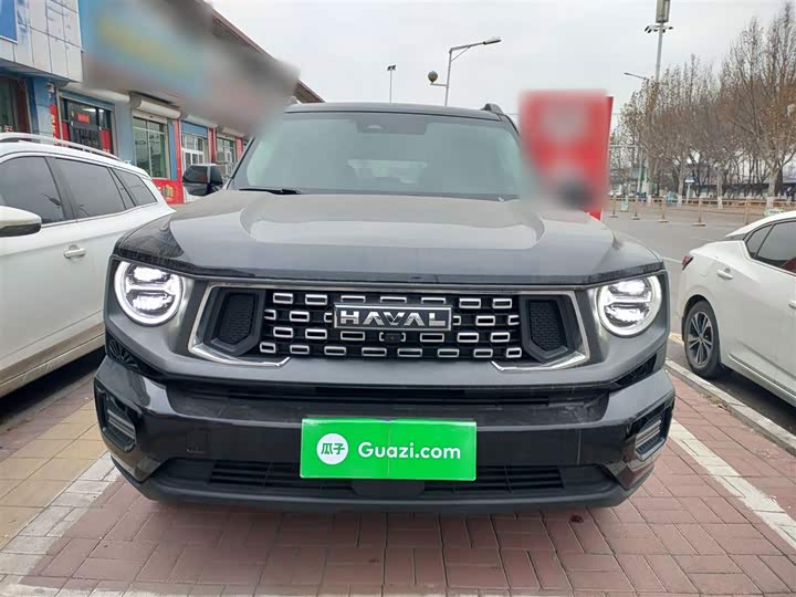 Фото 3 - Haval H-Dog