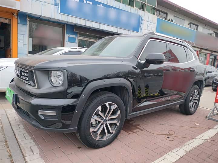 Фото 5 - Haval H-Dog