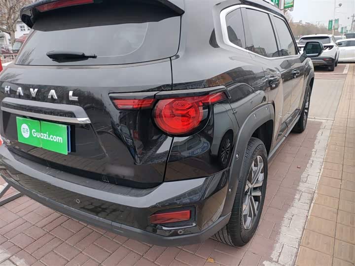 Фото 8 - Haval H-Dog