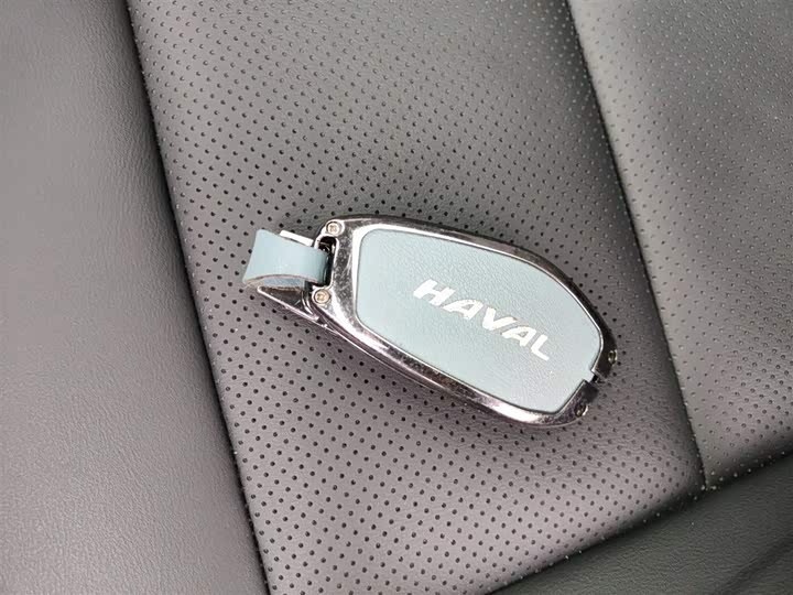 Фото 9 - Haval H-Dog