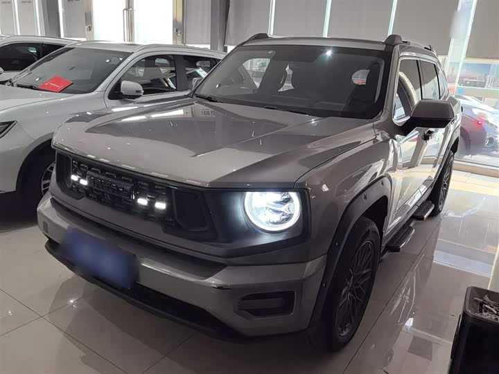 Фото 1 - Haval H-Dog