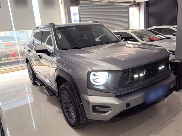 Фото 4 - Haval H-Dog