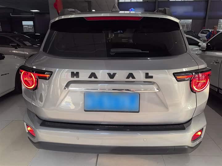Фото 6 - Haval H-Dog