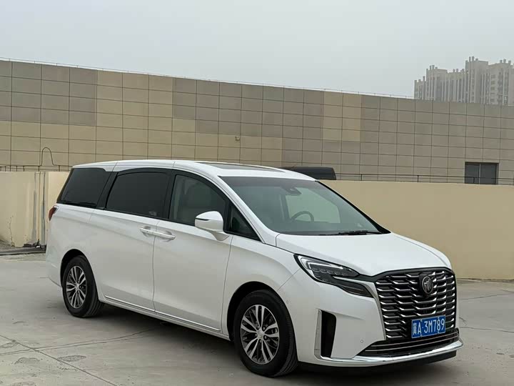 Фото 3 - Buick GL8 ES