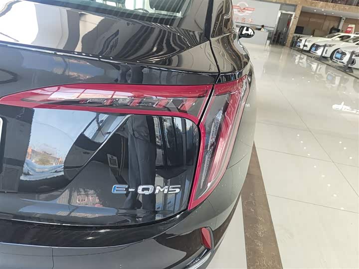 Фото 8 - Hongqi E-QM5