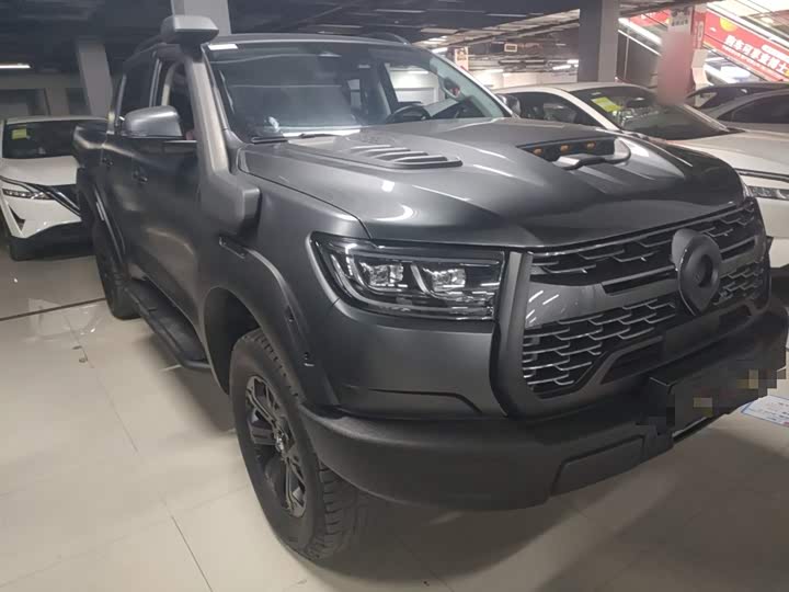 Фото 4 - Great Wall Pao