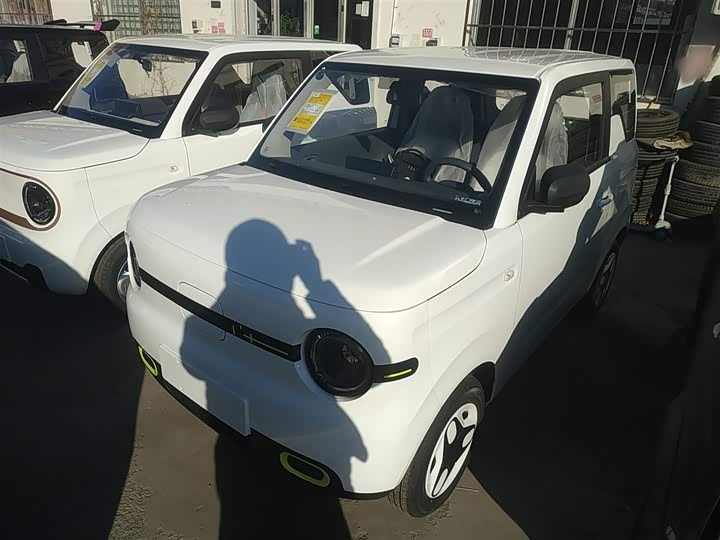 Фото 1 - Geely Galaxy Panda Mini