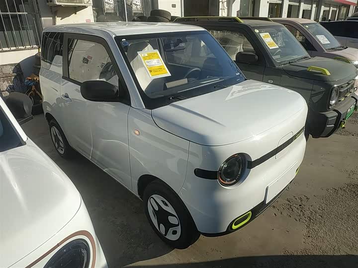 Фото 4 - Geely Galaxy Panda Mini