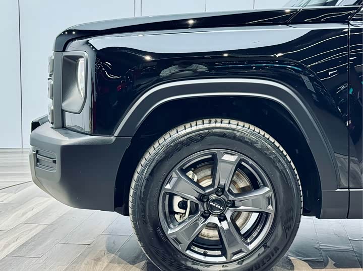 Фото 6 - Haval Raptor Hybrid