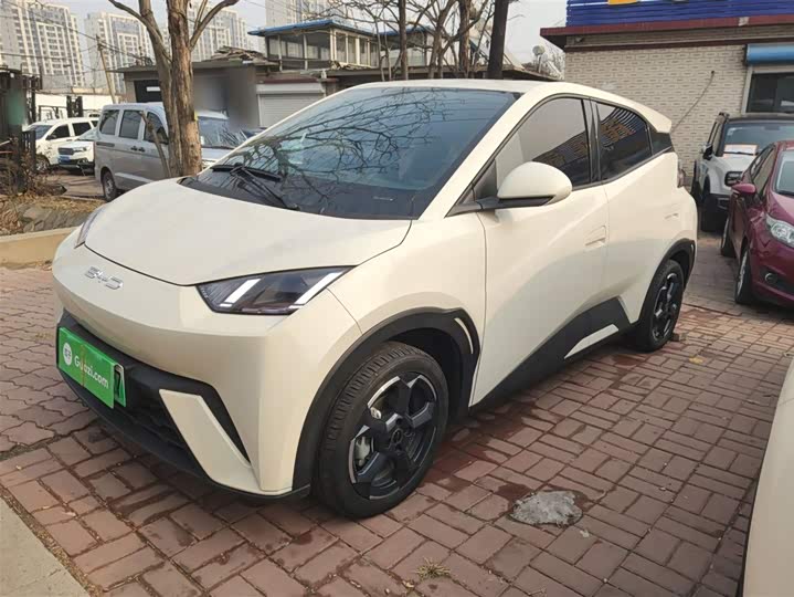 Фото 1 - BYD Seagull