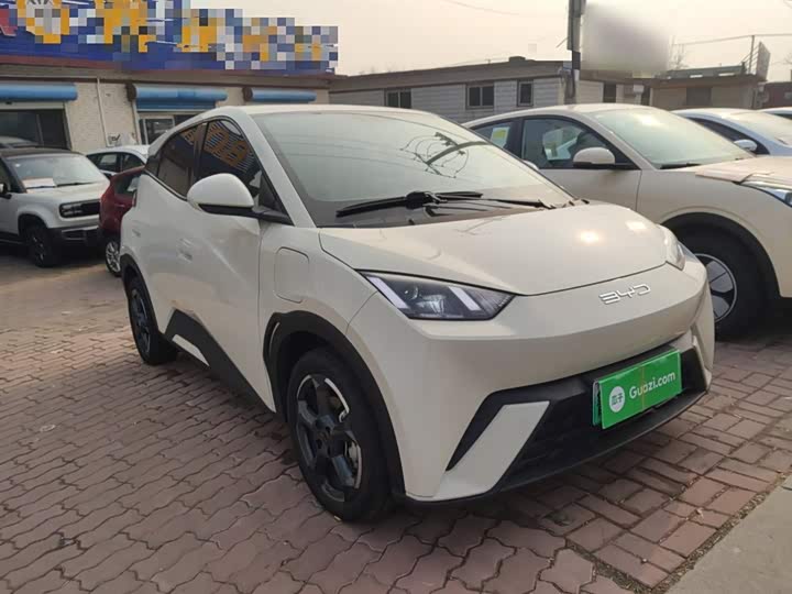 Фото 4 - BYD Seagull