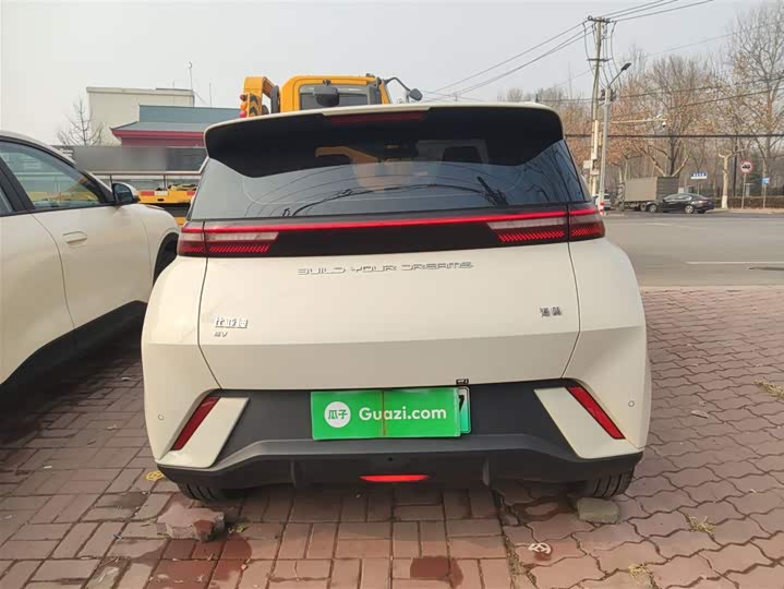 Фото 6 - BYD Seagull