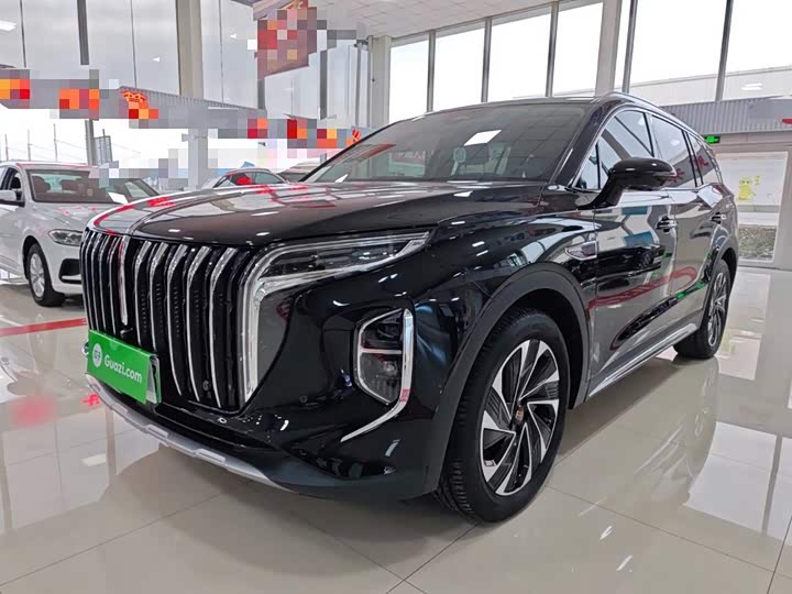 Фото 2 - Hongqi HS7 Hybrid