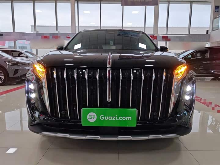 Фото 3 - Hongqi HS7 Hybrid