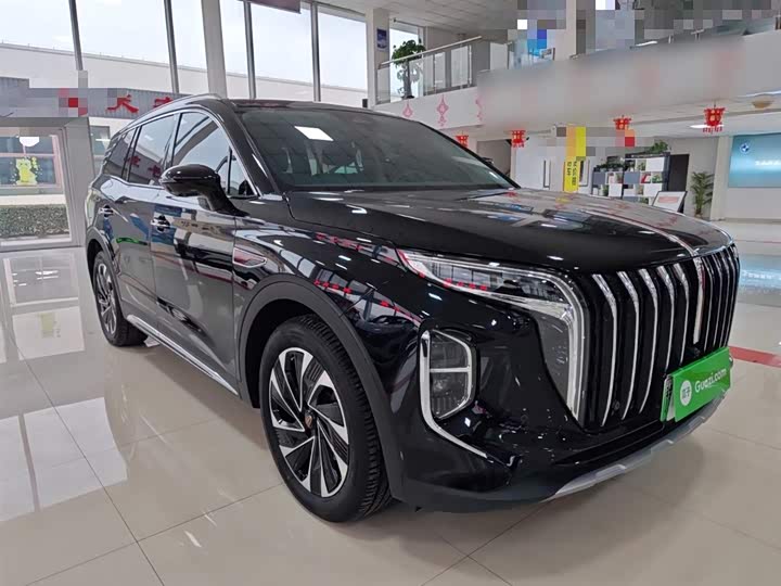 Фото 4 - Hongqi HS7 Hybrid