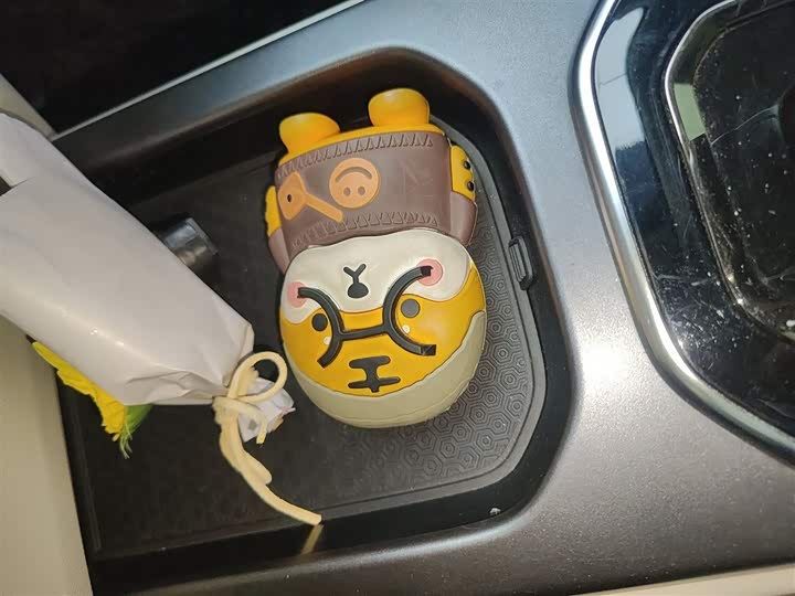 Фото 9 - Geely Icon