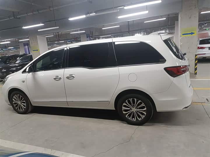 Фото 5 - Buick GL8 ES