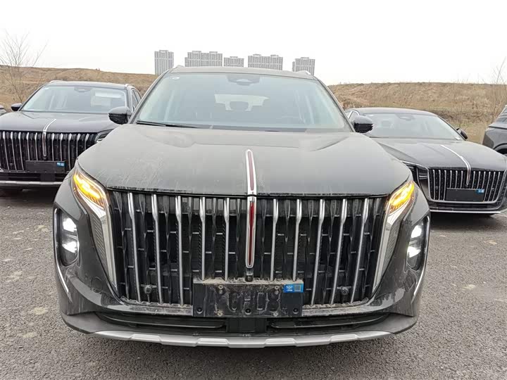 Фото 3 - Hongqi HS7 Hybrid