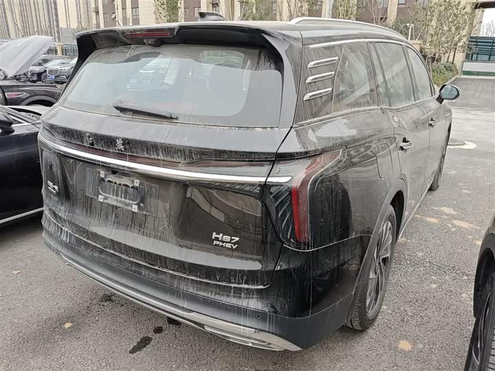 Фото 7 - Hongqi HS7 Hybrid