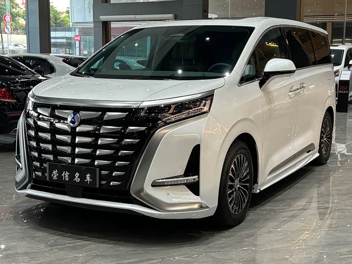 Фото 1 - Denza D9