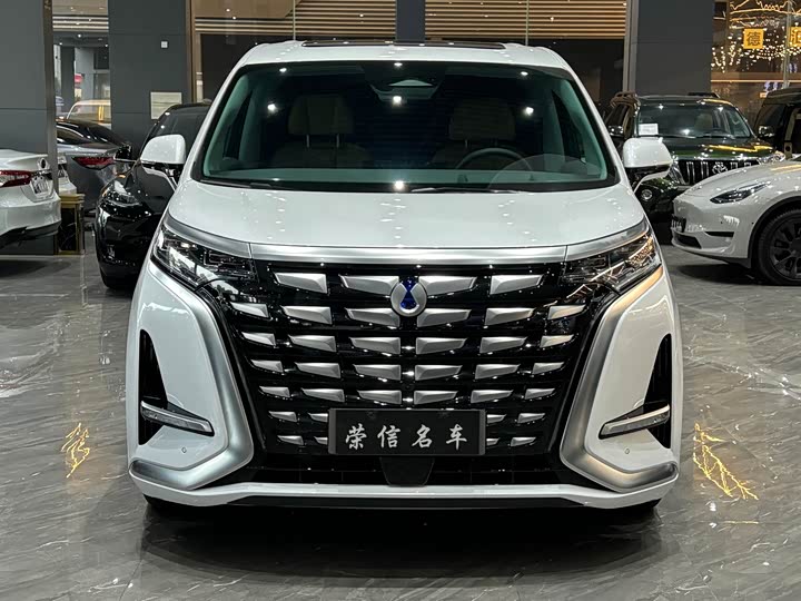 Фото 2 - Denza D9