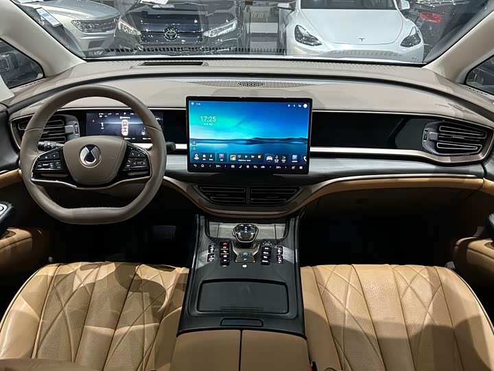 Фото 6 - Denza D9