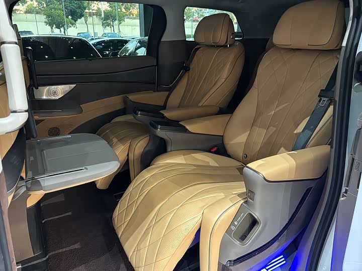 Фото 8 - Denza D9