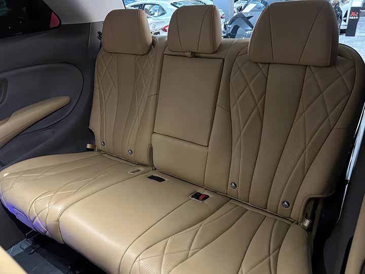 Фото 9 - Denza D9