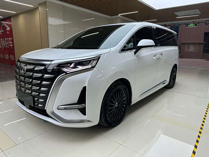 Фото 1 - Denza D9