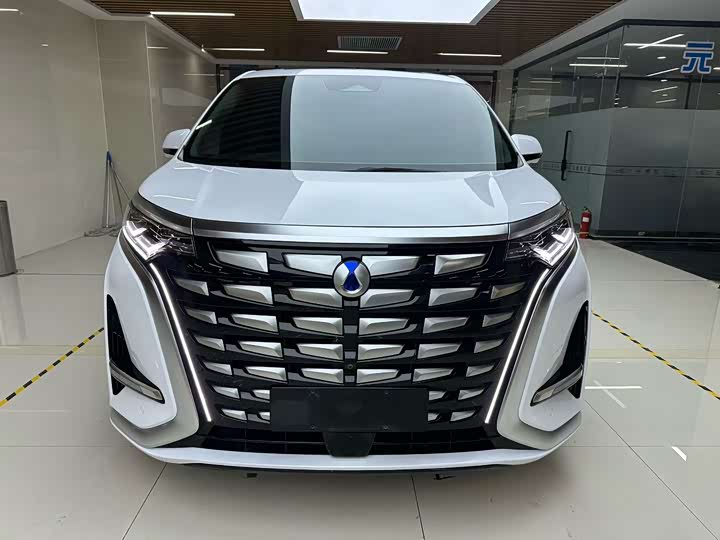 Фото 2 - Denza D9