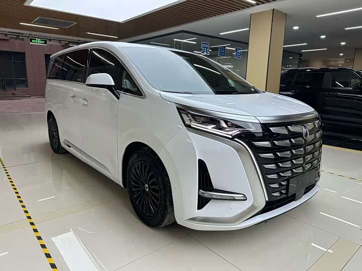 Фото 3 - Denza D9