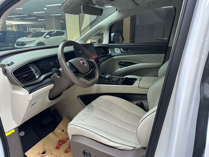 Фото 4 - Denza D9