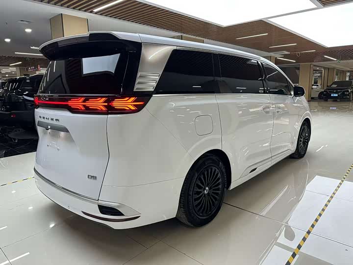 Фото 7 - Denza D9