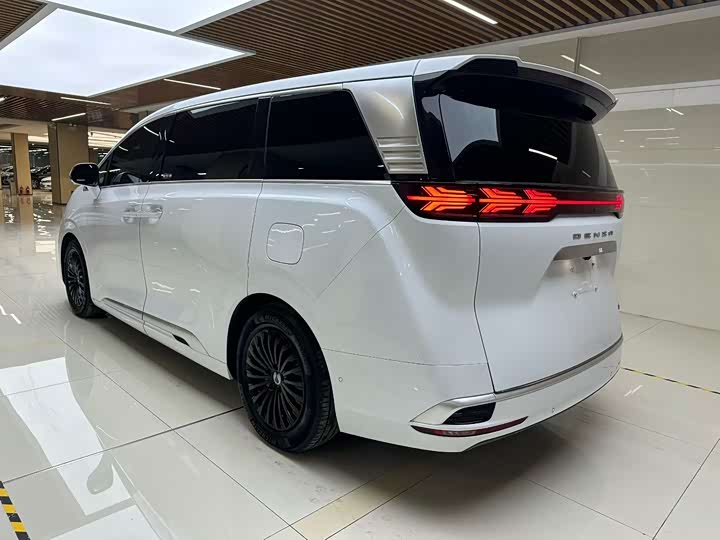 Фото 9 - Denza D9