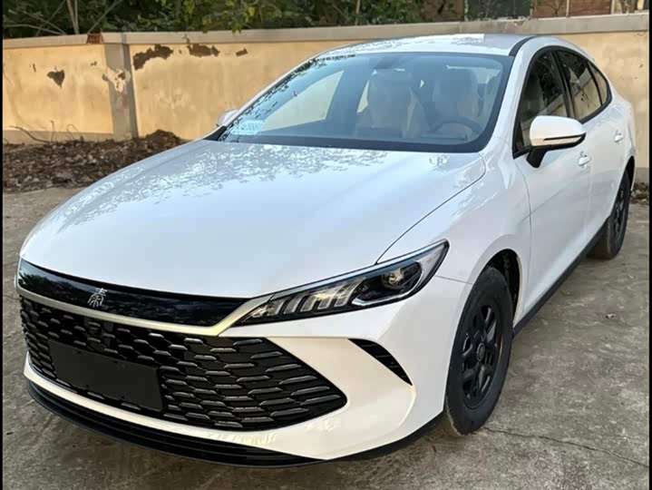 Фото 2 - BYD Qin Plus