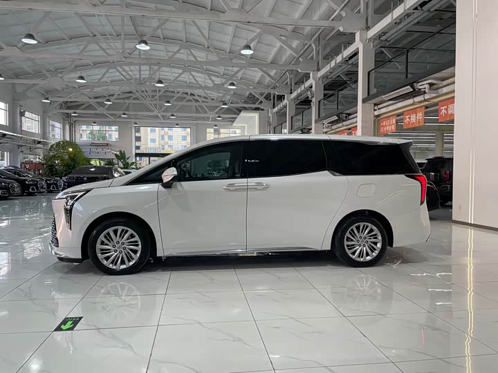 Фото 4 - Buick GL8 Century