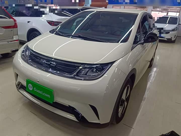 Фото 2 - BYD Dolphin