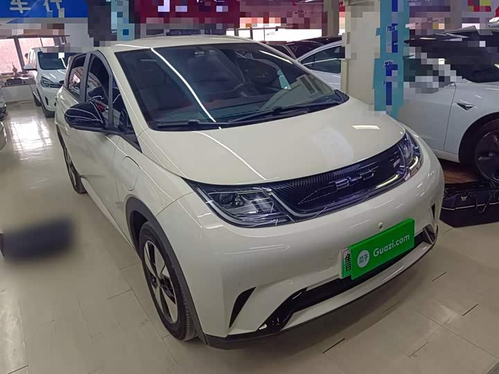 Фото 4 - BYD Dolphin