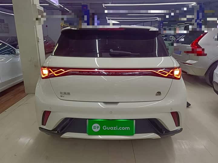 Фото 6 - BYD Dolphin