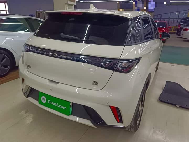 Фото 7 - BYD Dolphin