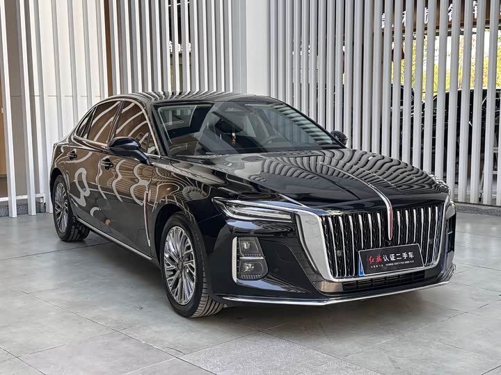 Фото 3 - Hongqi H5